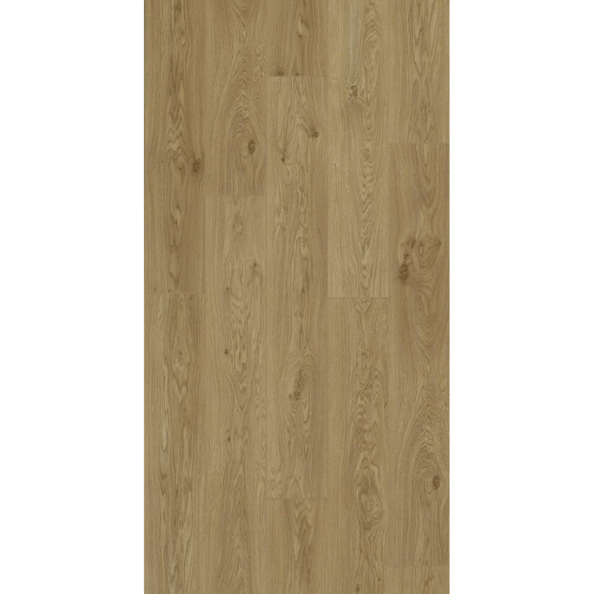 BerryAlloc TRENDLINE LAMINATGULV DAISY OAK