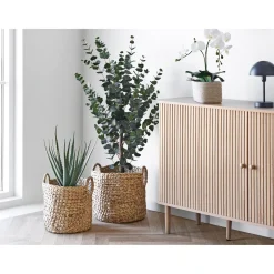 Boliginteriør BOLIGINTERIØR ALOE VERA KUNSTIG PLANTE 51 CM