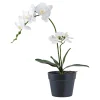 Boliginteriør BOLIGINTERIØR ORKIDE KUNSTIG PLANTE 49 CM