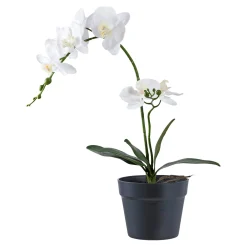 Boliginteriør BOLIGINTERIØR ORKIDE KUNSTIG PLANTE 49 CM