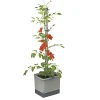 Garden Life TOMAT PLANTEKASSE L34,7XB27,7XH135,4 CM