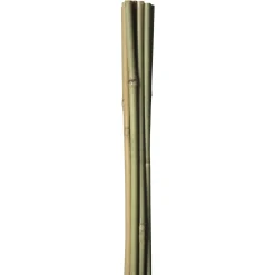 HOME it GARDEN BAMBUSPINDE 90 CM