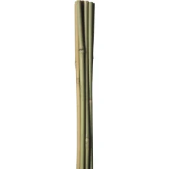 HOME IT GARDEN BAMBUSPINDE 180 CM