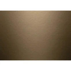 James Hardie GLAT HARDIEPLANK 8 X 180 X 3600 MM KASTANJEBRUN