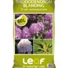 Leaf RHODODENDRONBLANDING 60 L