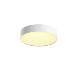 Philips Hue WA ENRAVE S PLAFOND 10W HVID 318 MM