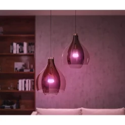 Philips Hue WCA SMART, 2 X E27, BRIDGE, DIM. SWITCH & PLUG STARTSÆT