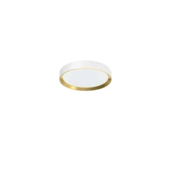 Philips SCENESWITCH HANNO LOFTLAMPE 24W HVID 46,5 CM