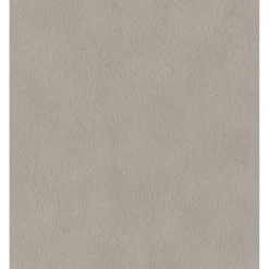 Rasch STUDIO 2027 GASELLE PELS TAPET 0,53X10 M